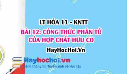 Lập Công thức phân tử hợp chất hữu cơ? Khái niệm, cách biểu diễn CTPT hợp chất hữu cơ? Hóa 11 bài 12 KNTT